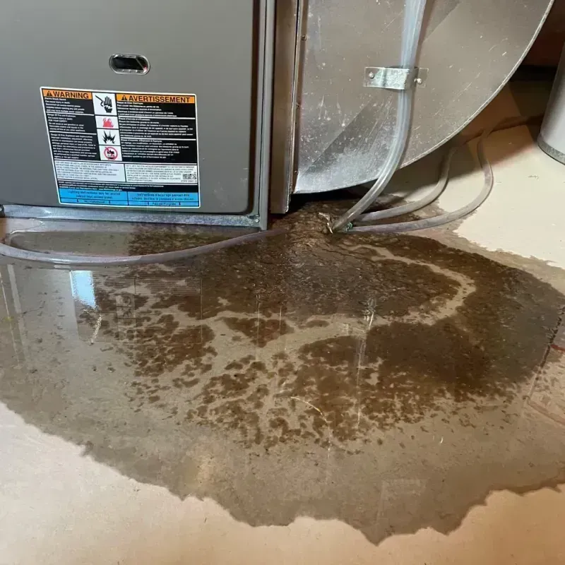 Appliance Leak Cleanup in Lochbuie, CO